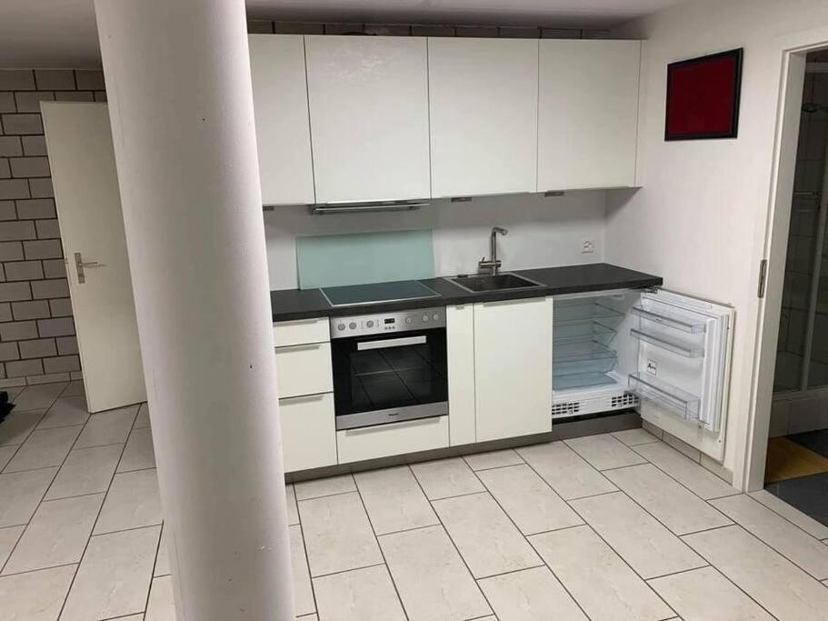 Basel - 5 Mins Away - Modern Basement Studio With Kitchen 35M2 In Muttenz Exteriör bild