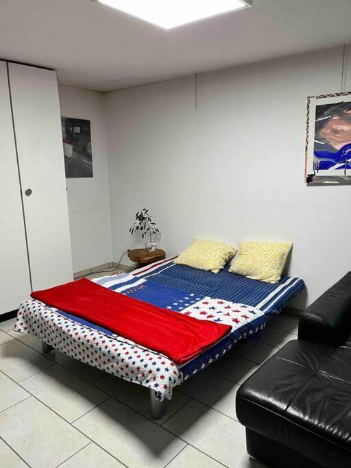 Basel - 5 Mins Away - Modern Basement Studio With Kitchen 35M2 In Muttenz Exteriör bild