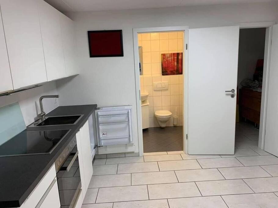 Basel - 5 Mins Away - Modern Basement Studio With Kitchen 35M2 In Muttenz Exteriör bild